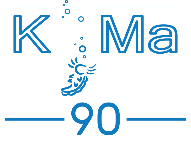 Datei:KoMa 90 Logo.png
